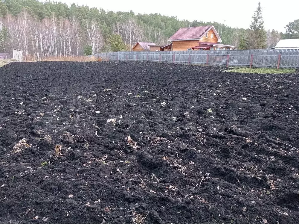 Участок 16 сот. (СНТ, ДНП) - Фото 0