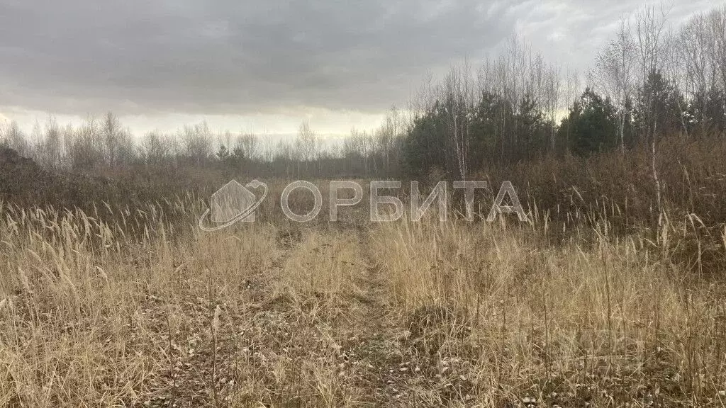 Участок в Тюменская область, Нижнетавдинский район, Геолог-2 СНТ ул. ... - Фото 1