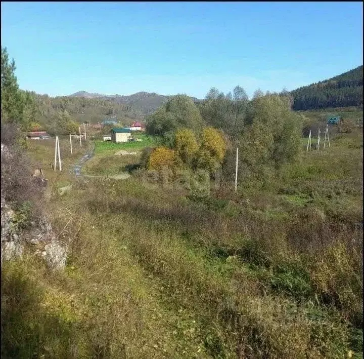 Участок в Алтайский край, Алтайский район, с. Нижнекаянча ул. ... - Фото 1