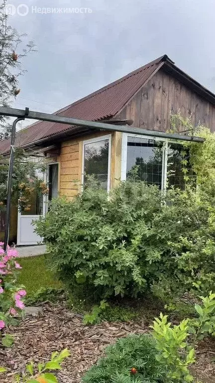 Дом в Чита, ДНТ Урожай, Ясная улица (39.8 м) - Фото 2