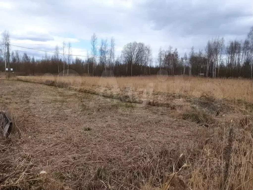 Участок 10 сот. (личное подсобное хозяйство (лпх)) - Фото 0