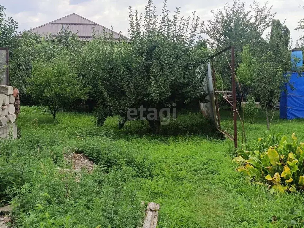 Участок в Кабардино-Балкария, Чегемский район, с. Шалушка Садовый пер. ... - Фото 0