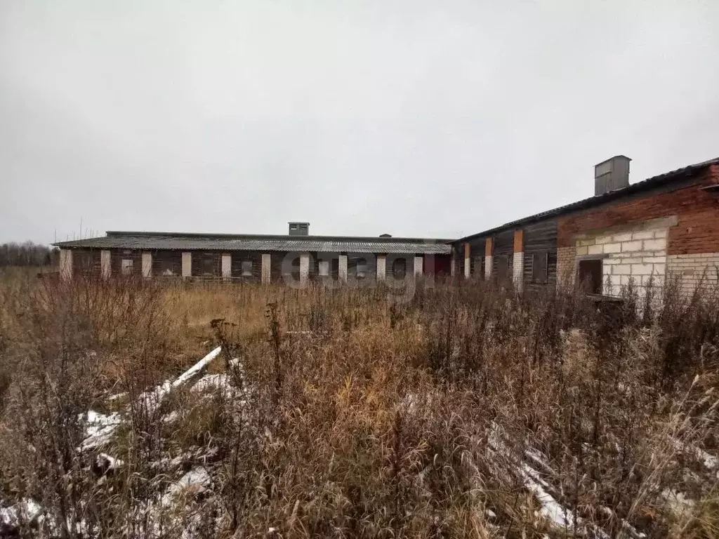 Склад в Вологодская область, Белозерский муниципальный округ, д. ... - Фото 2