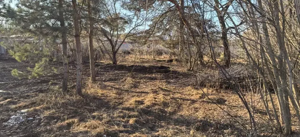 Участок в Московская область, Коломна городской округ, д. Щурово  ... - Фото 0