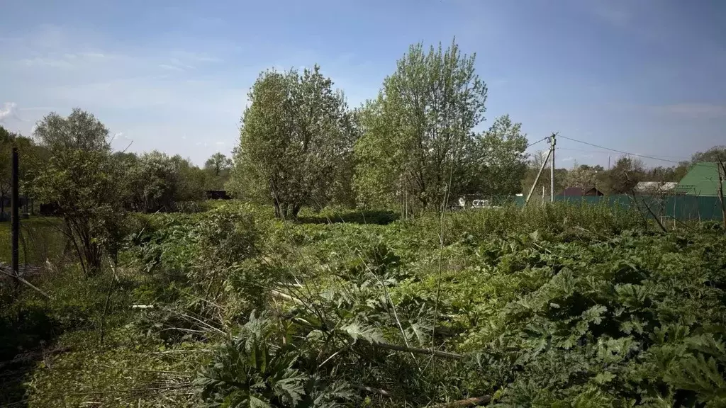 Участок в Московская область, Истра муниципальный округ, д. Устиново ... - Фото 1