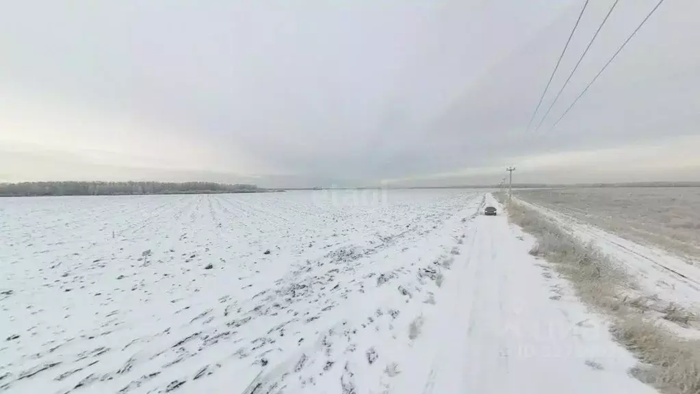 Участок в Тюменская область, Тюменский муниципальный округ, ... - Фото 1