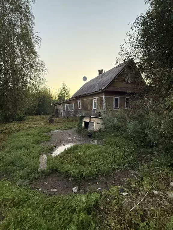 Участок в Ленинградская область, Тосно г. Тосненский район, Тосненское ... - Фото 1