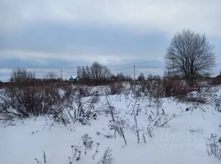 Участок в Московская область, Дмитровский муниципальный округ, д. ... - Фото 0