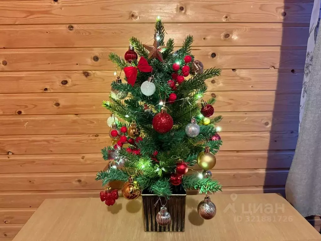 Комната Краснодарский край, Апшеронский район, пос. Мезмай Речная ул., ... - Фото 2