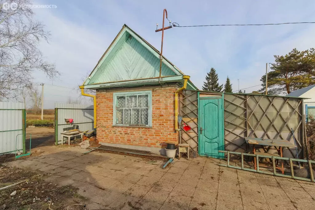 Участок в Омск, территория СОСН Авангард (825 м) - Фото 1