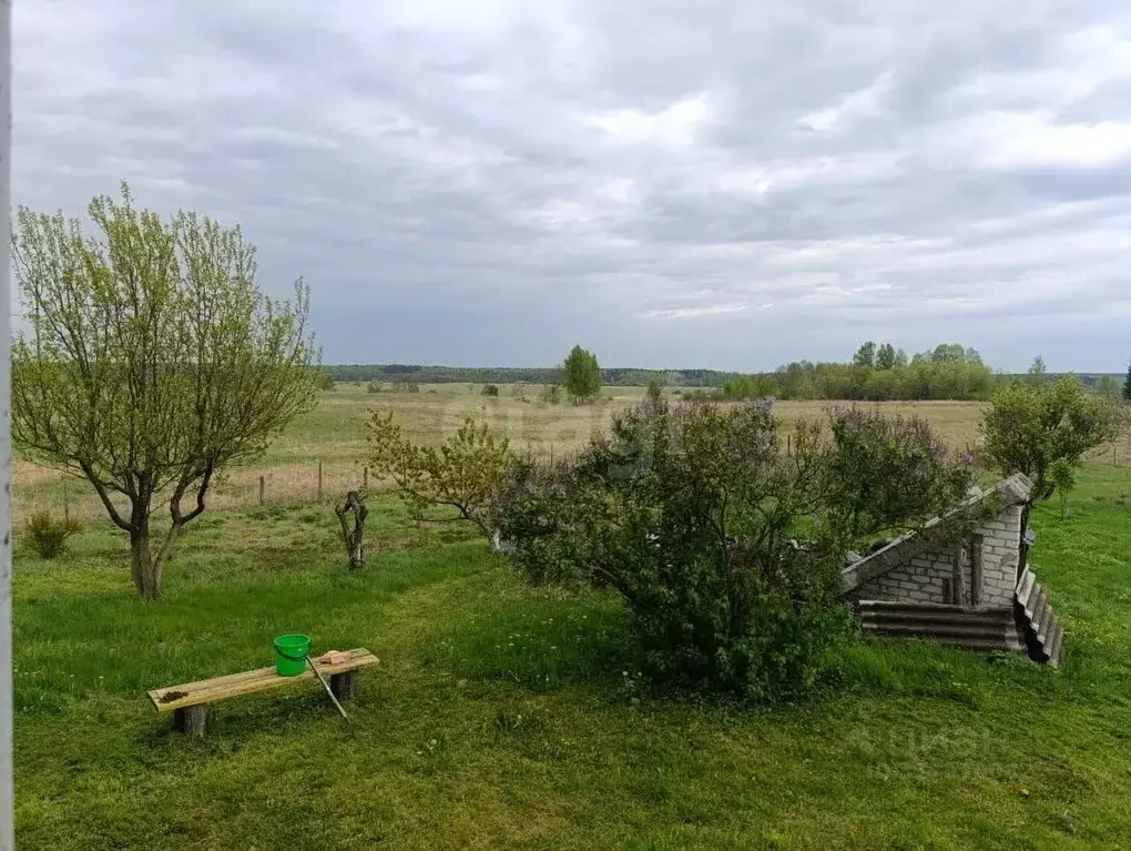 Участок в Брянская область, Почепский район, Речицкое с/пос, с. Рогово ... - Фото 1