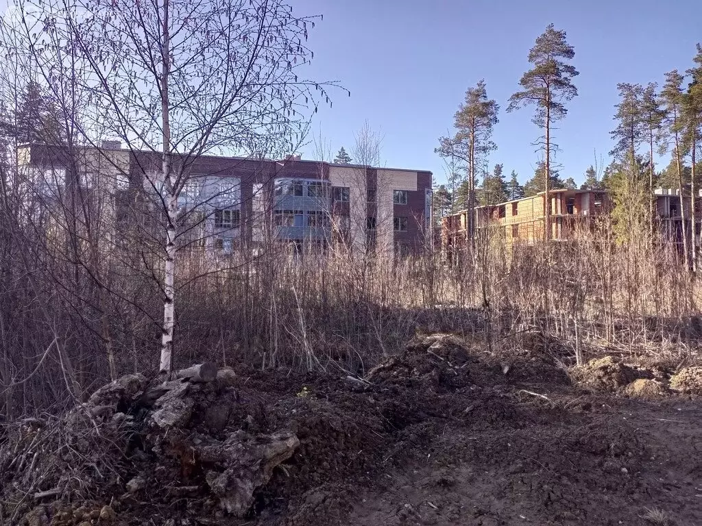 Участок в Всеволожск, улица Мужества (10 м) - Фото 1