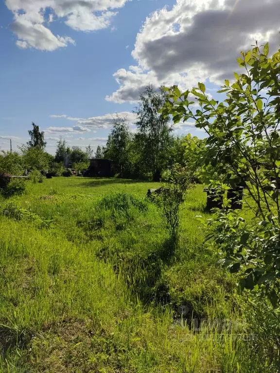 Участок в Московская область, Домодедово городской округ, д. Щербинка  ... - Фото 0