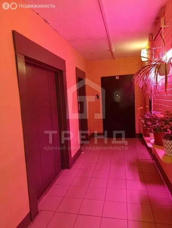 1-комнатная квартира: Санкт-Петербург, Кондратьевский проспект, 62к6 ... - Фото 1