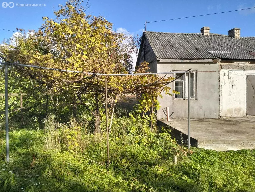 Дом в Калининградская область, Правдинский муниципальный округ, ... - Фото 2