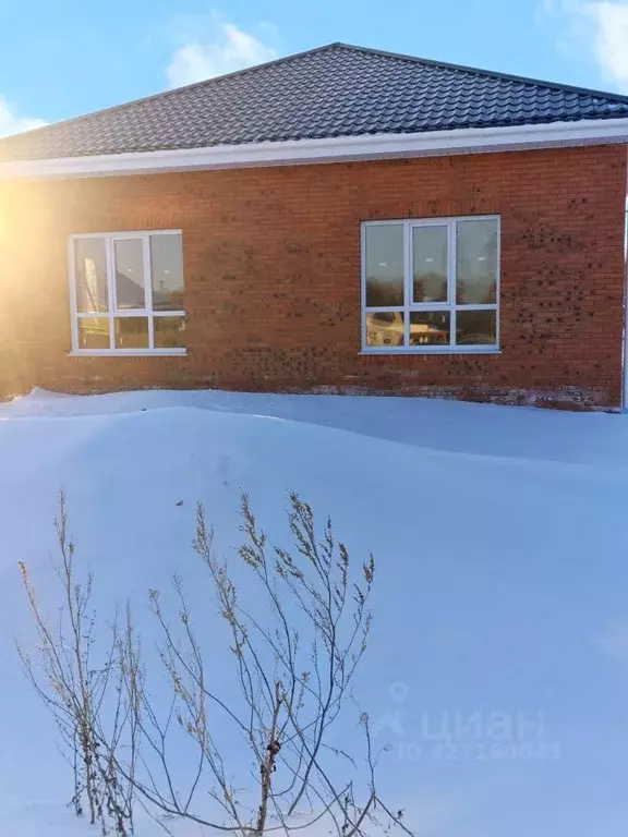 Дом в Омская область, Омский район муниципальный округ, с. Пушкино ул. ... - Фото 2