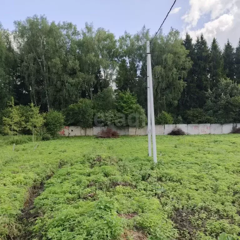 Участок в Калужская область, Малоярославец Карижская ул., 1 (10.0 ... - Фото 1