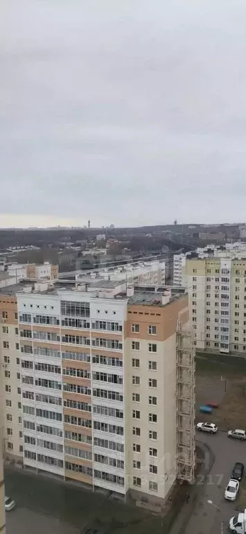 Студия Пермский край, Пермь ул. Докучаева, 52 (29.0 м) - Фото 1