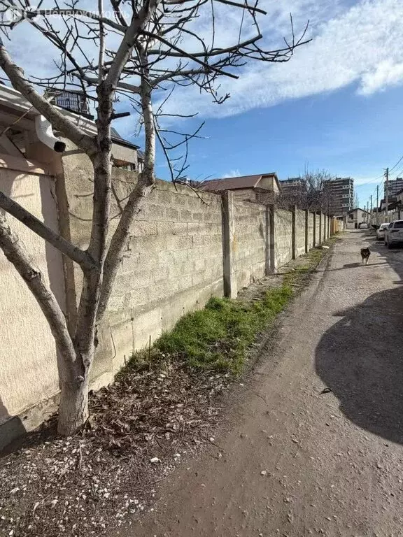 Участок в Новороссийск, улица Данини (4.4 м) - Фото 2