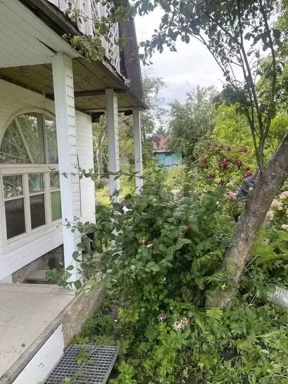 Дом в Калининградская область, Калининград Мечта СНТ, проезд 9-й, ... - Фото 1