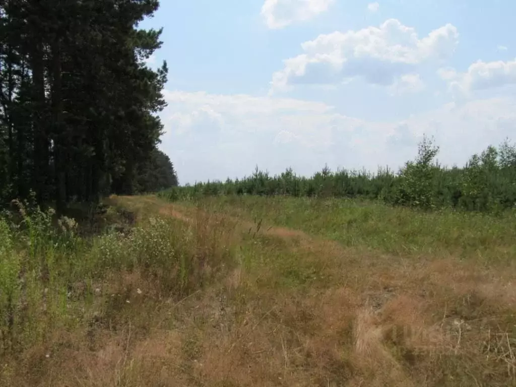 Участок в Владимирская область, Киржачский район, д. Красилово  (270.0 ... - Фото 0