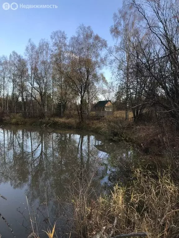 Участок в Турочакский район, село Озеро-Куреево (80 м) - Фото 0