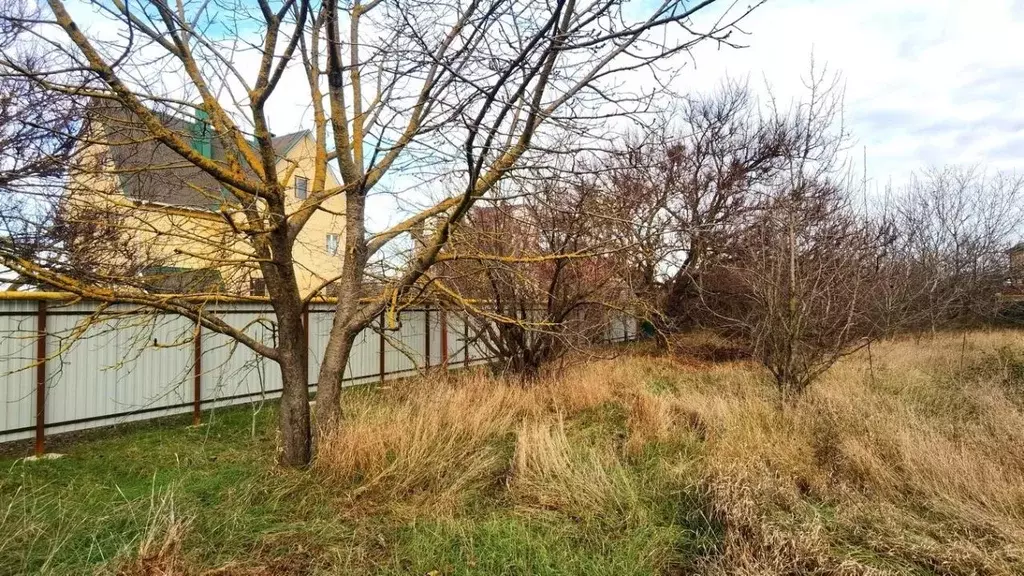 Участок в Краснодарский край, Анапа муниципальный округ, с. ... - Фото 2