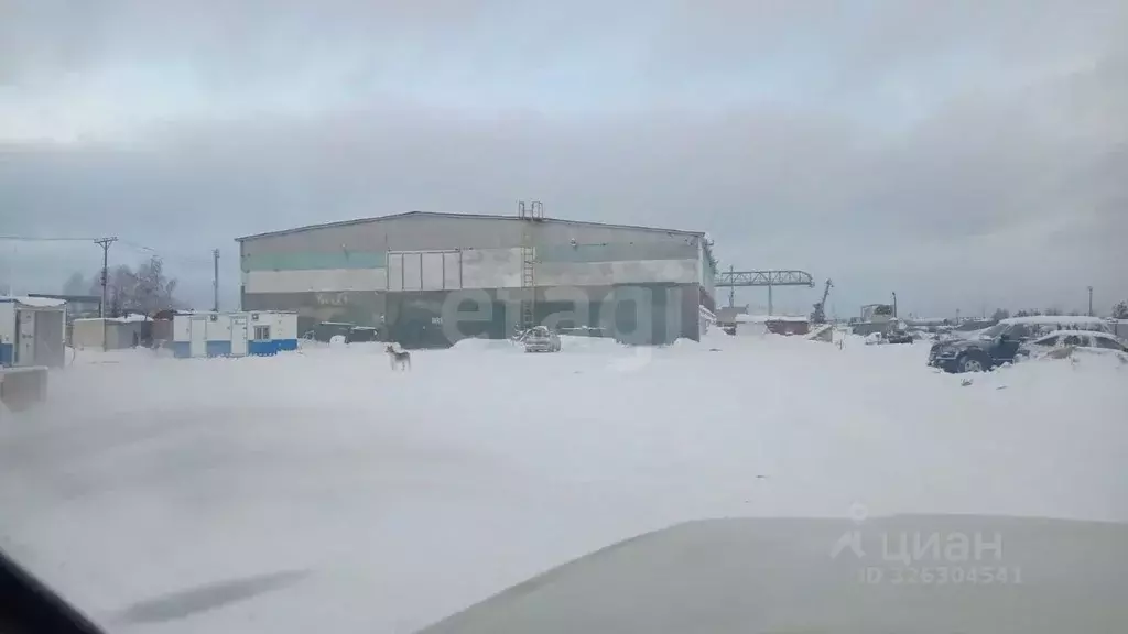 Склад в Ямало-Ненецкий АО, Ноябрьск Промузел Пелей кв-л, 11-я панель, ... - Фото 1