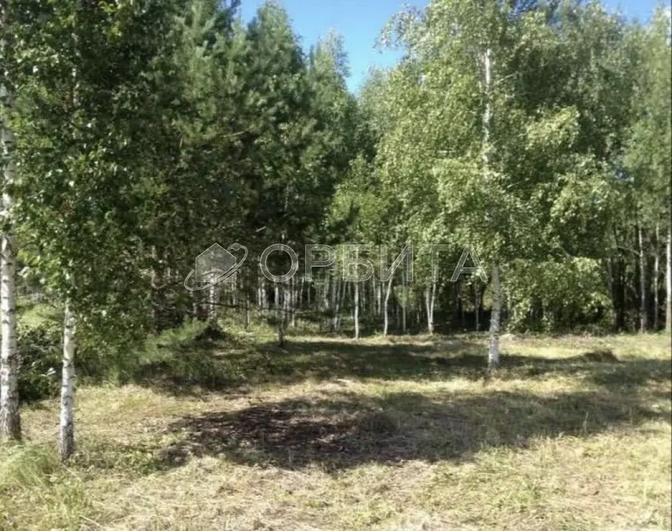 Участок в Тюменская область, Тюмень Велижанский тракт, 7-й км, 8 (7.5 ... - Фото 1