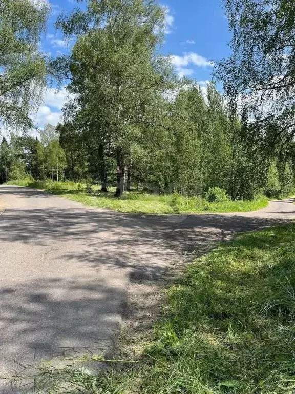 Участок в Ярославская область, Ярославский муниципальный округ, с. ... - Фото 1