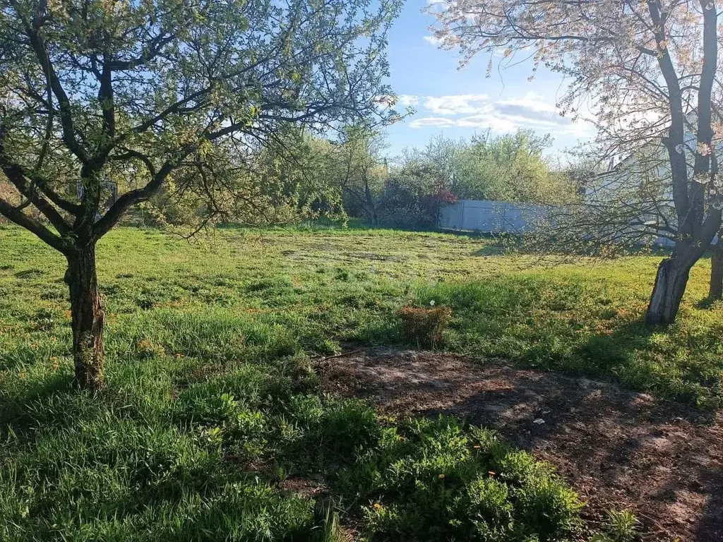 Участок в Брянская область, Брянский район, Снежское с/пос, с. ... - Фото 2