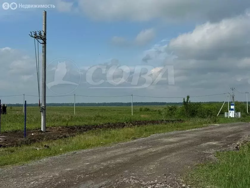 Участок в Тюменский муниципальный округ, деревня Елань (8 м) - Фото 2