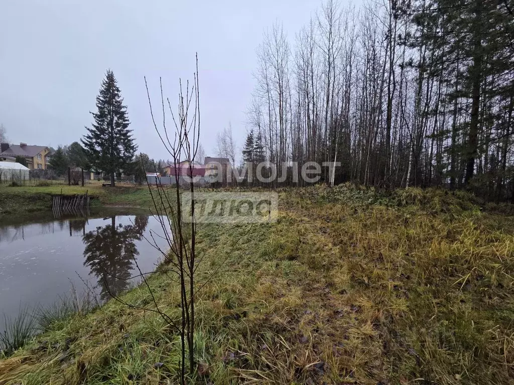 Участок в Марий Эл, Медведевский район, Сидоровское с/пос, д. ... - Фото 2