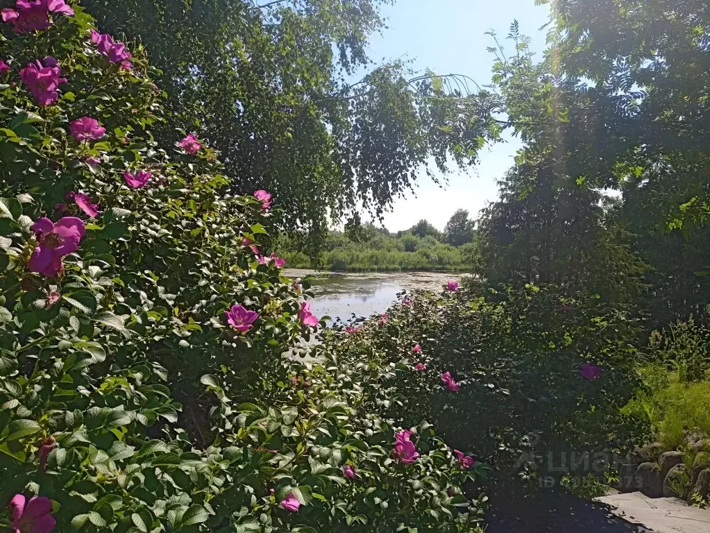 Студия Московская область, Красногорск городской округ, д. Глухово ул. ... - Фото 1