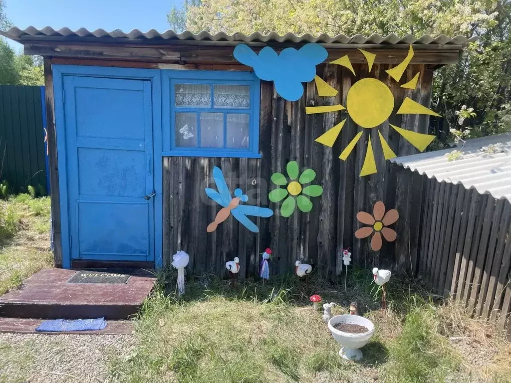 Участок в Забайкальский край, Чита Эдельвейс СНТ, 96 (6.0 сот.) - Фото 1