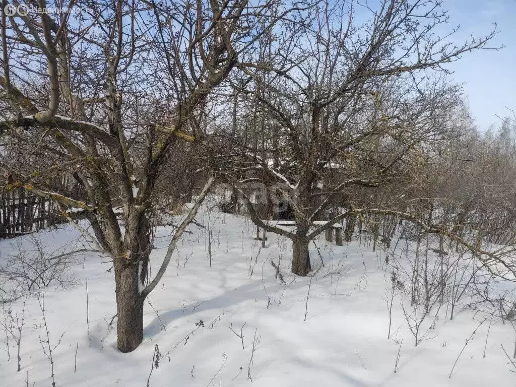 Участок в Ульяновская область, рабочий посёлок Базарный Сызган, ... - Фото 1