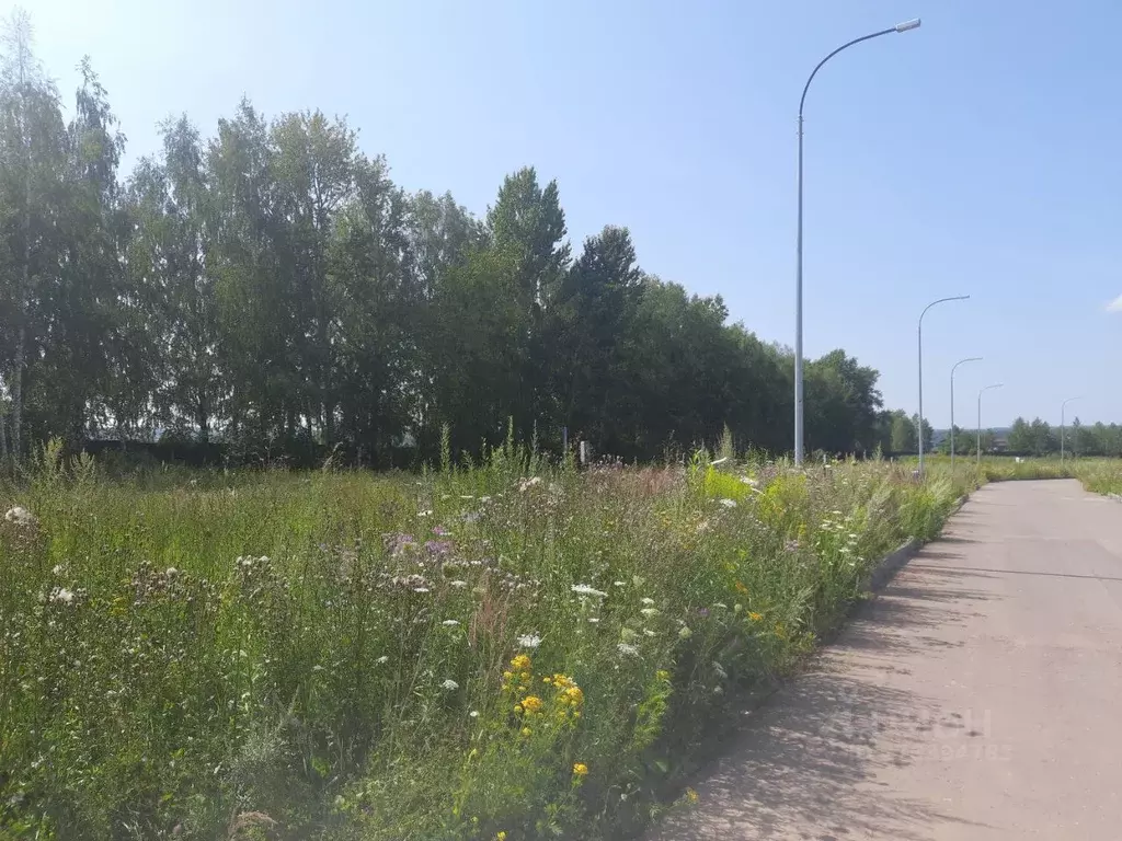 участок в нижегородская область, богородский муниципальный округ, с. . - Фото 1