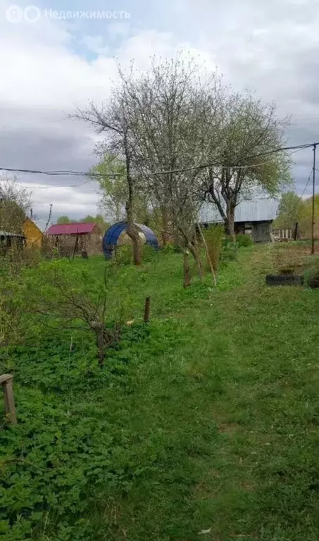 Дом в село Варварское, Центральная улица, 27 (31.3 м) - Фото 2