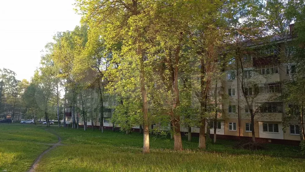 1-к. квартира, 32,6 м, 3/5 эт. - Фото 0
