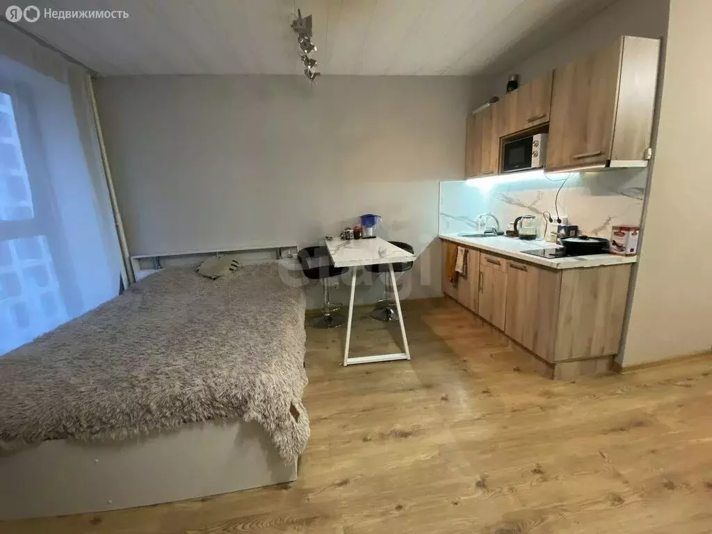 Квартира-студия: посёлок Парголово, Толубеевский проезд, 8к2 (26 м) - Фото 2