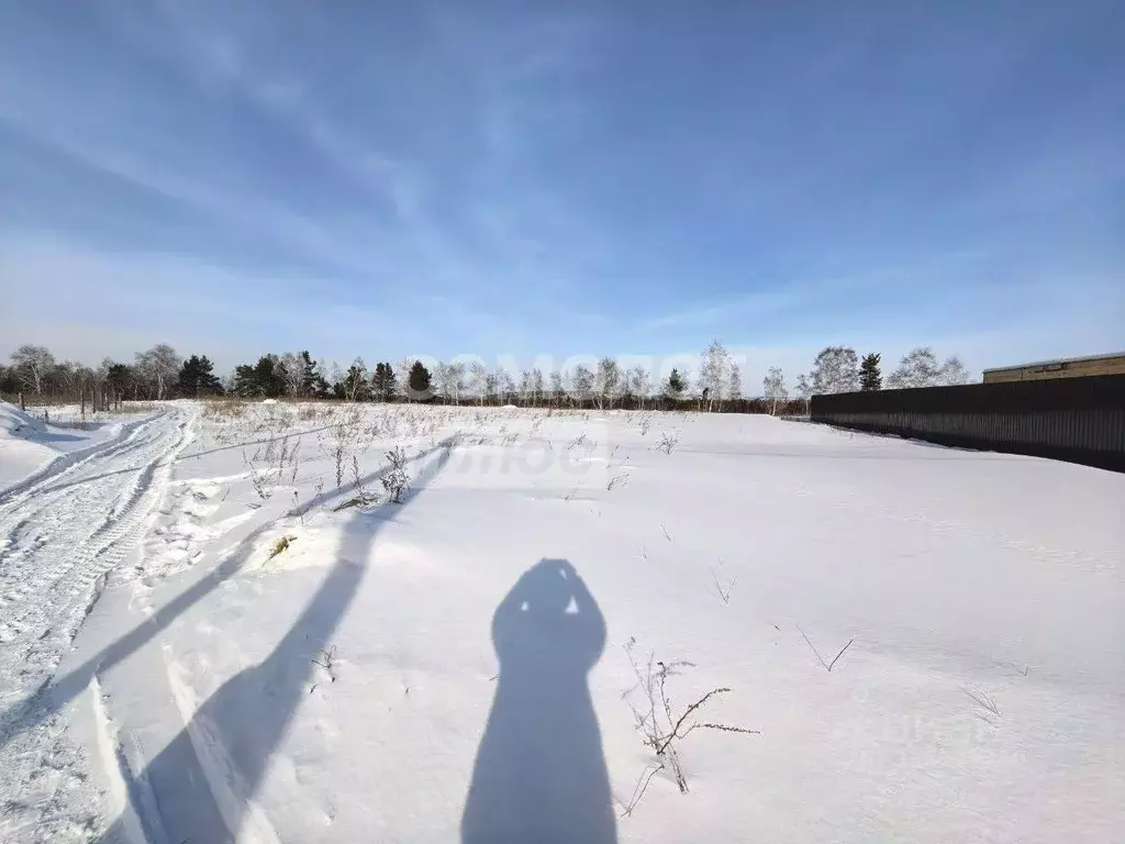 Участок в Иркутская область, Иркутск ул. 1-я Дачная (12.0 сот.) - Фото 2