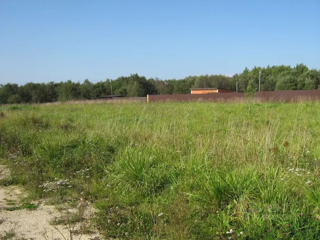 Участок в Ленинградская область, Ломоносовский район, Гостилицкое ... - Фото 1