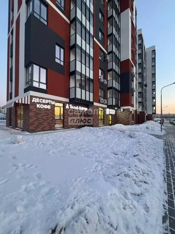 Студия Самарская область, Тольятти ул. 40 лет Победы, 51Ж (32.0 м) - Фото 1