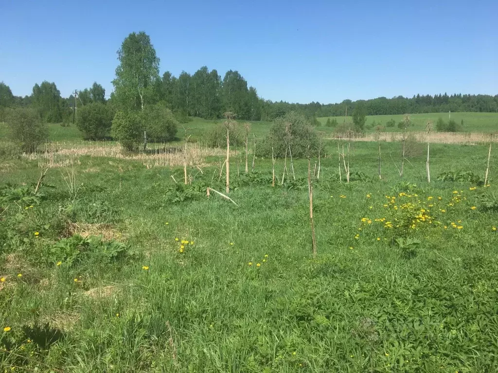 Участок в Московская область, Пушкинский городской округ, д. ... - Фото 2