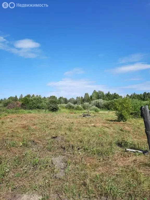 Участок в Тюменский муниципальный округ, СНТ Черёмушки-2, Вишнёвая ... - Фото 1