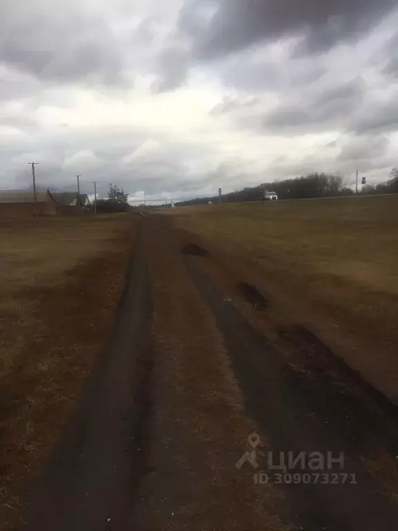 Участок в Самарская область, Кинель-Черкассы с/пос, с. Тоузаково ул. ... - Фото 1