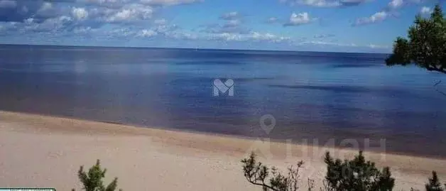 Участок в Ленинградская область, Приозерский район, Ларионовское ... - Фото 2
