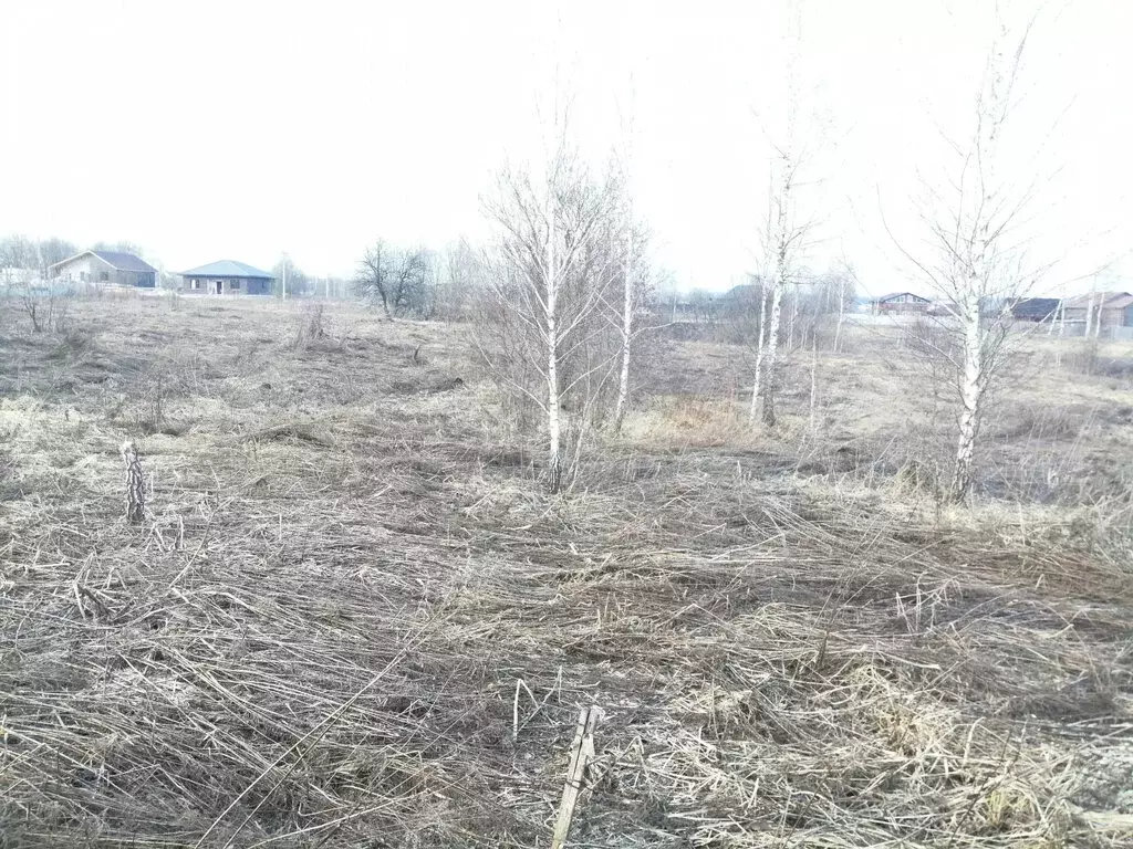 Участок в Добрунское сельское поселение, СДТ Полёт (6 м) - Фото 0