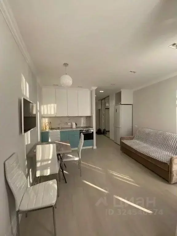 1-к кв. Краснодарский край, Сочи Светлана мкр, ул. Депутатская, 10 ... - Фото 2