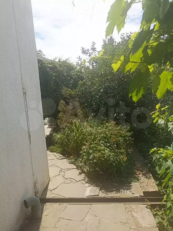 Дом 54 м на участке 6 сот. - Фото 1